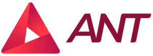 Agile Networks